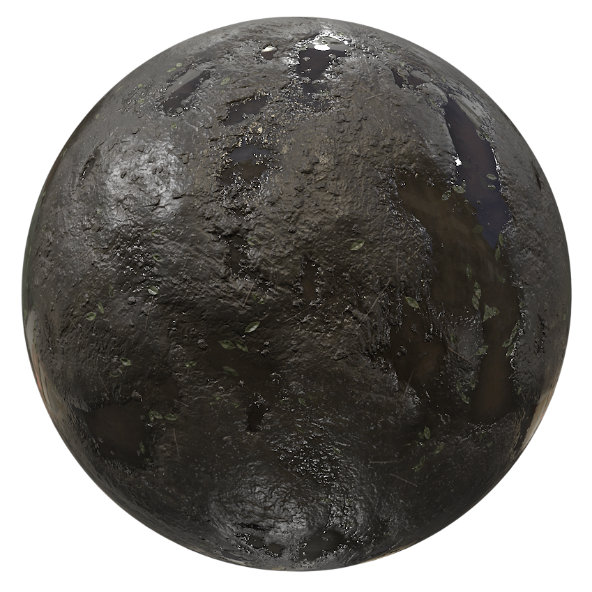 Dark Wet Mud